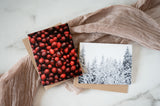 KLP Holiday Pack