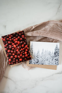 KLP Holiday Pack